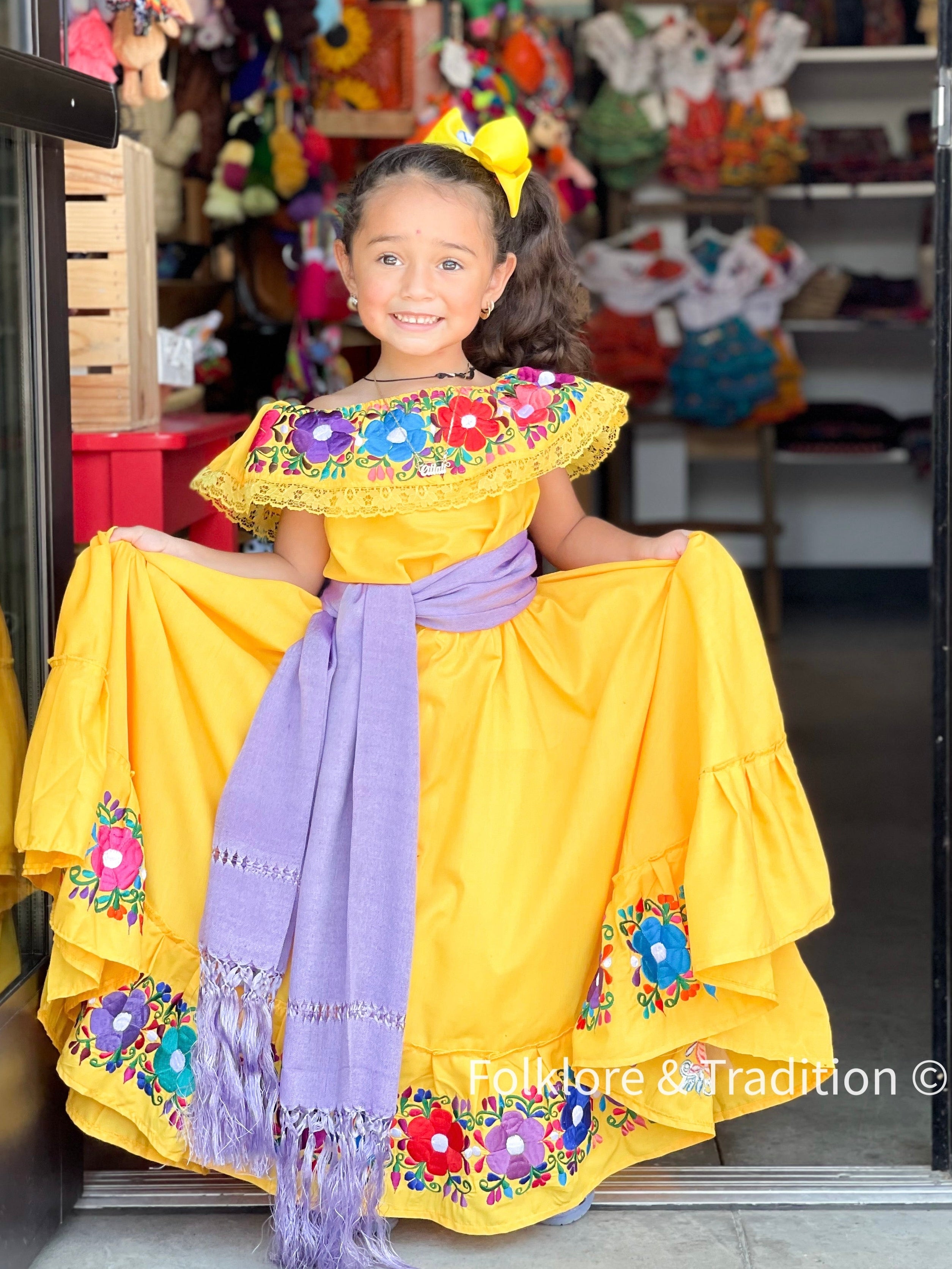 Fiesta Folklorico Dress1