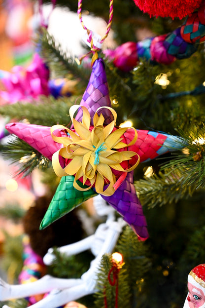 Multicolored Star Ornaments