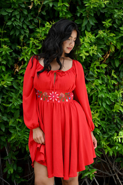 Mónica’s Picnic Dress