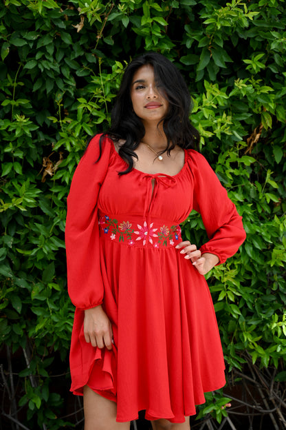 Mónica’s Picnic Dress